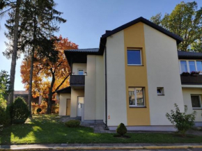 Cozy apartment with garden / Jaukus butas su kiemeliu